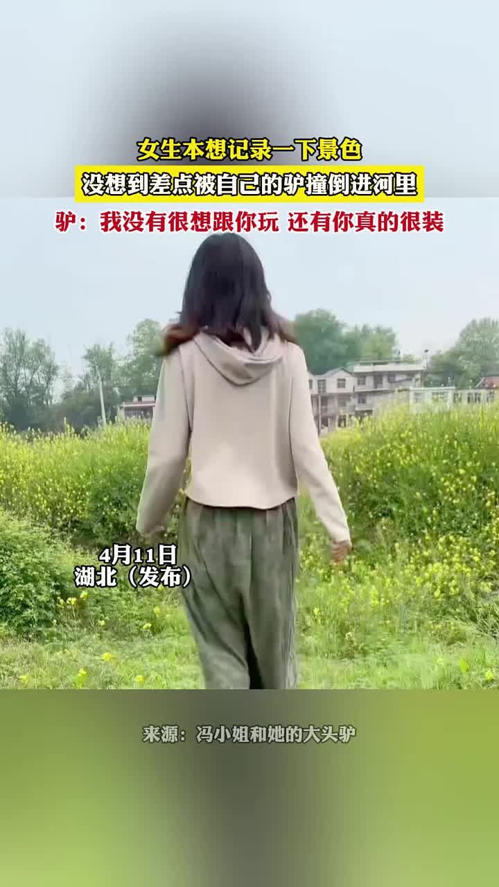 我有一只小毛驴但我从来也不骑！