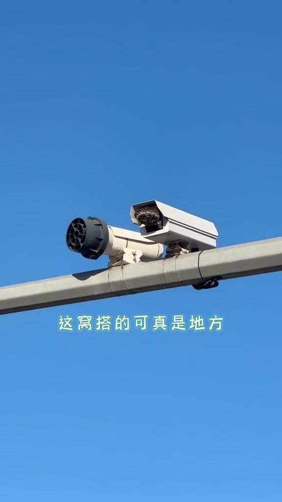 这是最新科技，蜂窝超全景摄像头