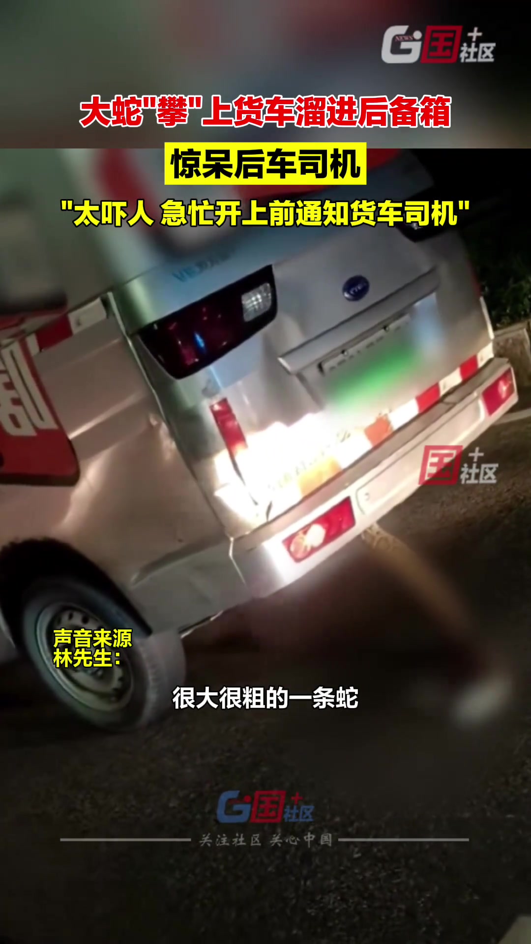 一条大蛇“攀”上货车溜进后备箱，惊呆后车司机