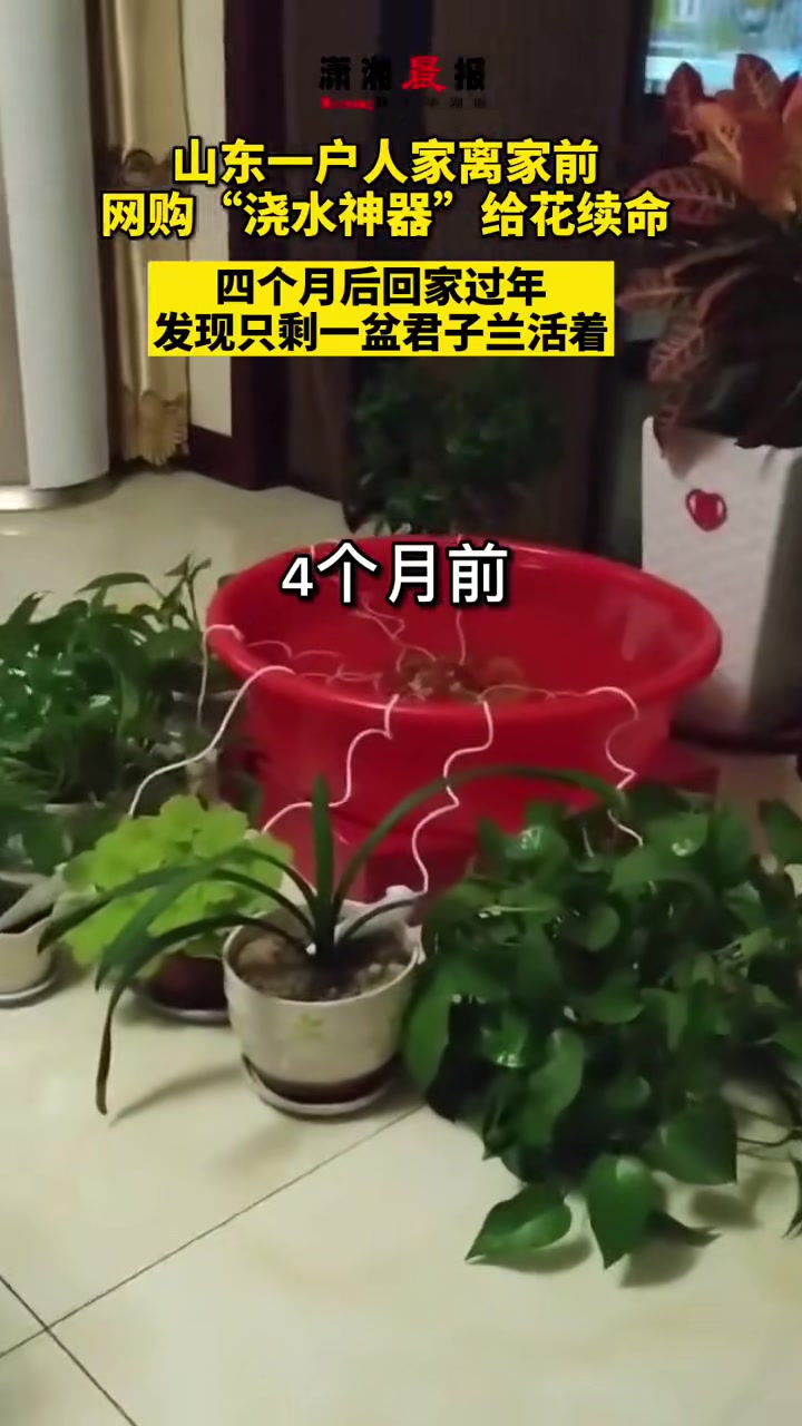 他们是桃园结义了吗？不求同年同日生，只求同年同日死