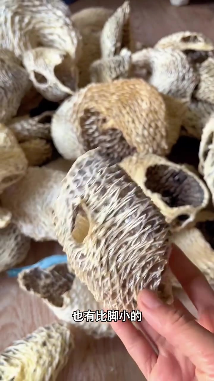 鱼获是什么呀？有吧友知道吗？