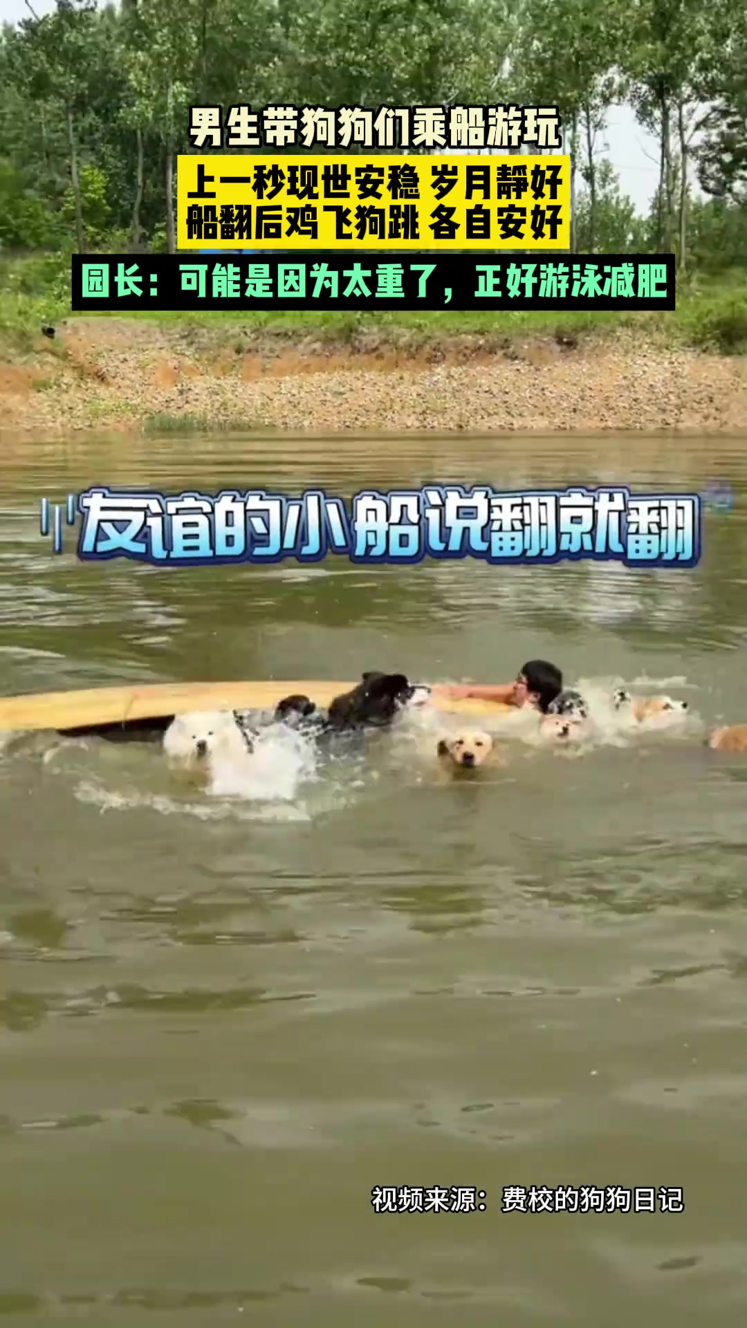 男生带狗狗乘船游玩，上一秒岁月静好，下一秒鸡飞狗跳