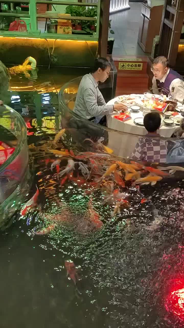 在这吃饭是一种什么体验？