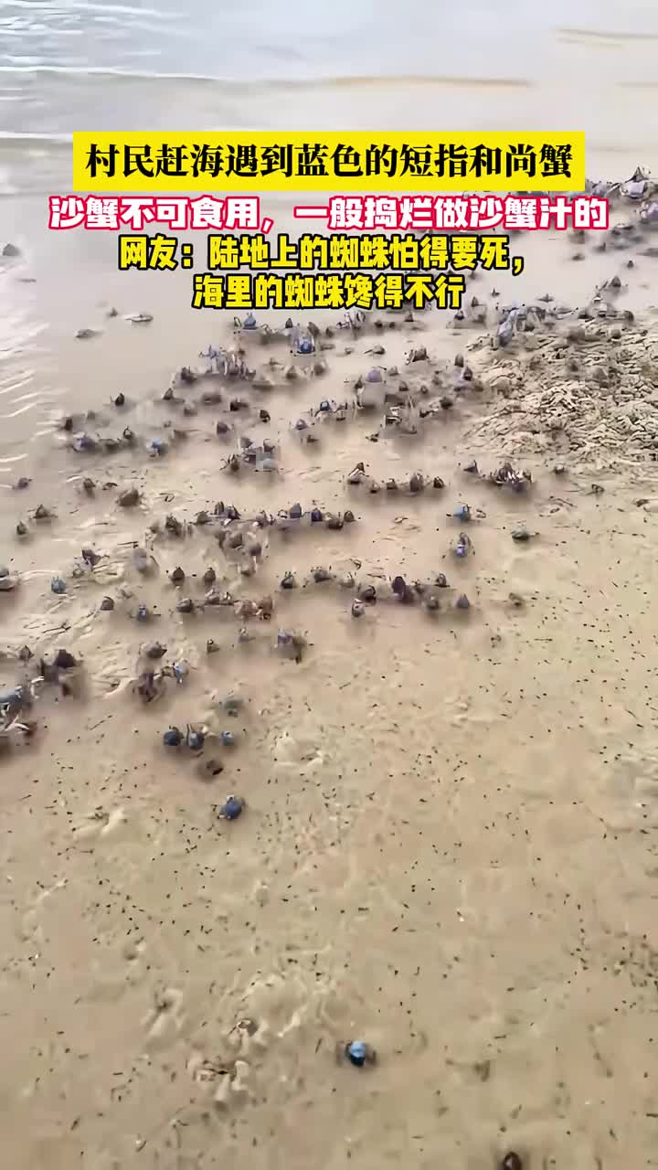 到底是蜘蛛下了海，还是螃蟹上了岸