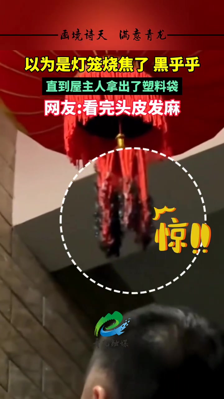 网友直呼，看完头皮发麻 ！