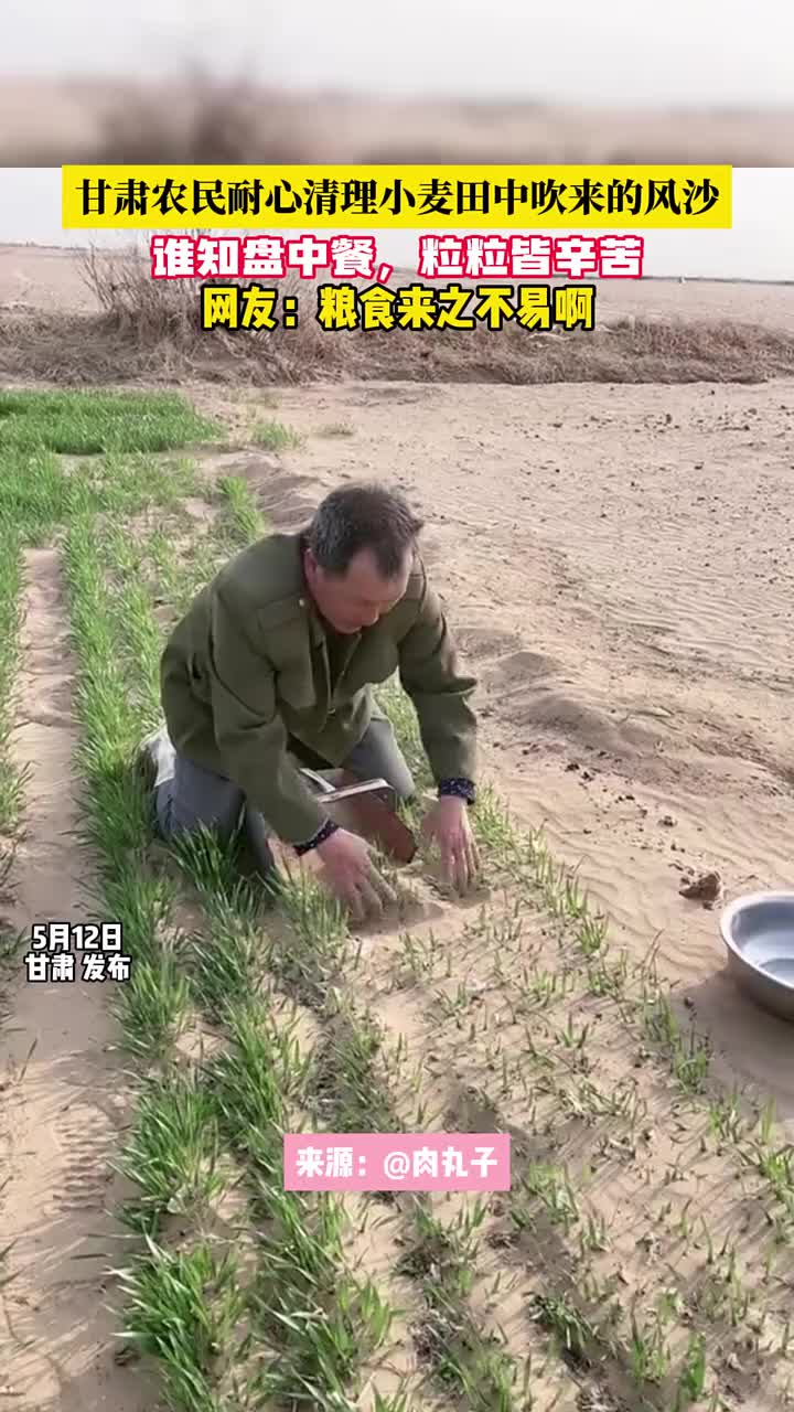 粮食来之不易啊！