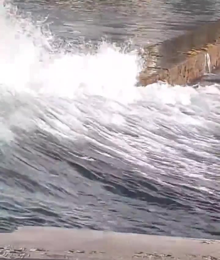 必须优雅上岸