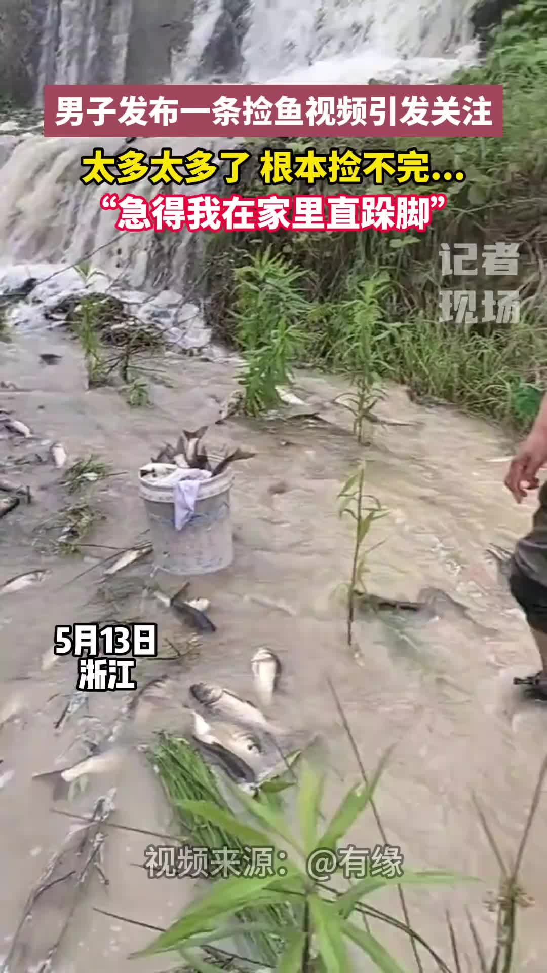 男子发布一条捡鱼视频引发关注，根本捡不完...