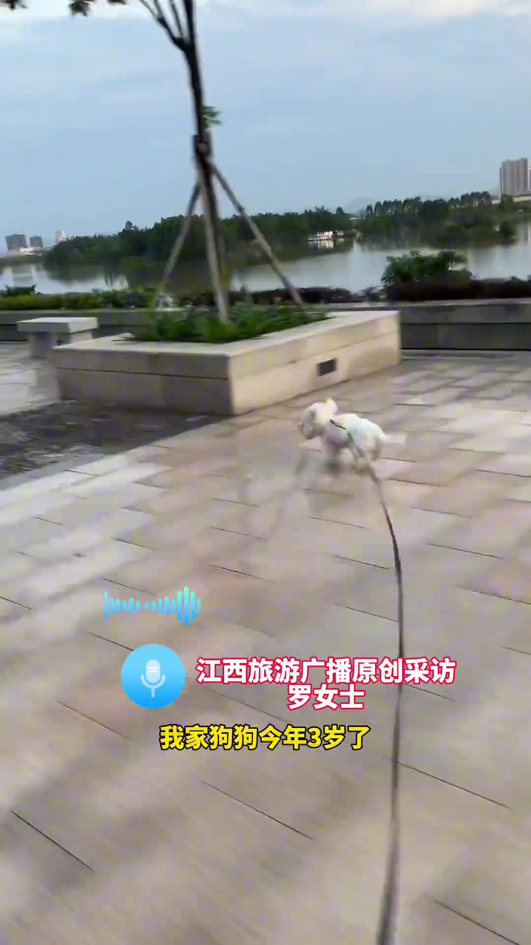 给它报名男狗女狗向前冲！