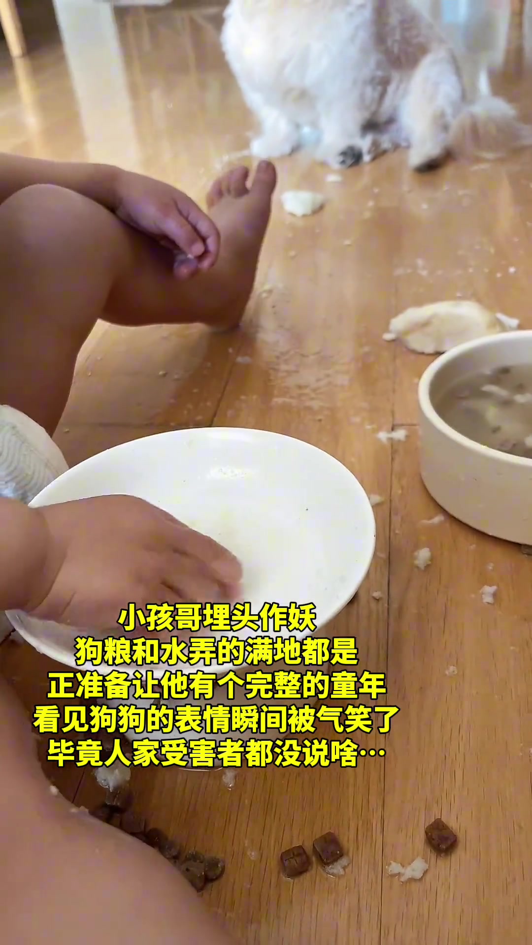 被这俩活宝气笑了，这一天天的…