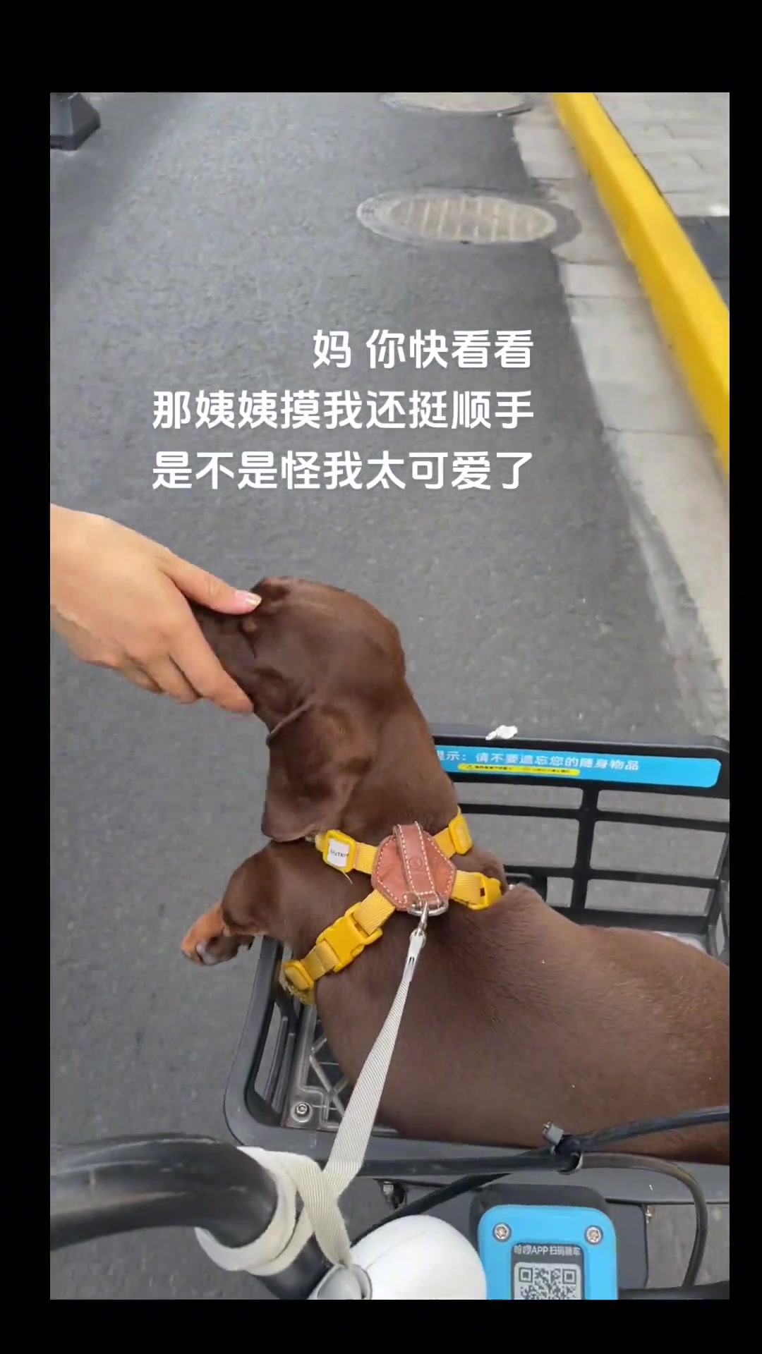 太顺手了，顺着嘴筒子就撸下去了