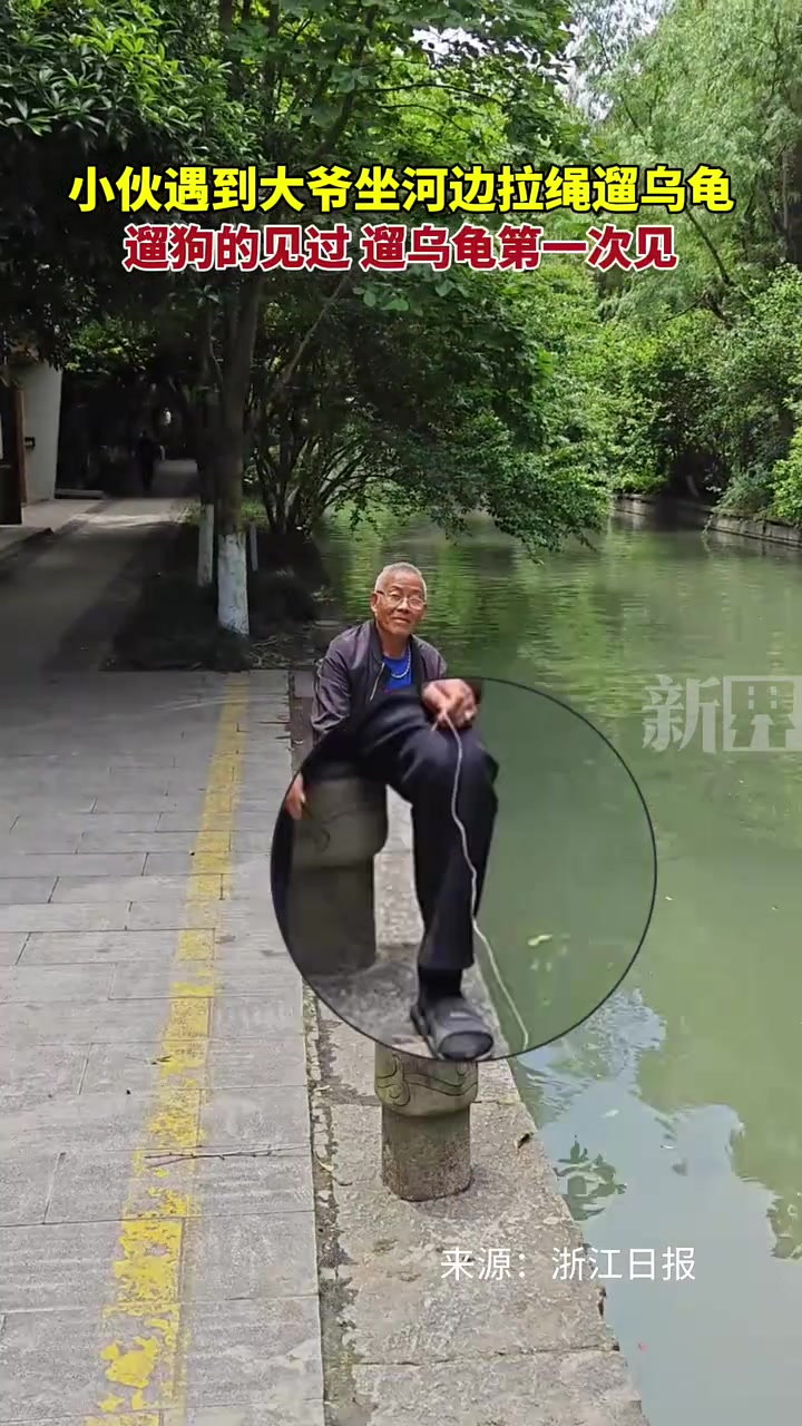 遛狗的见过，遛乌龟的第一次见