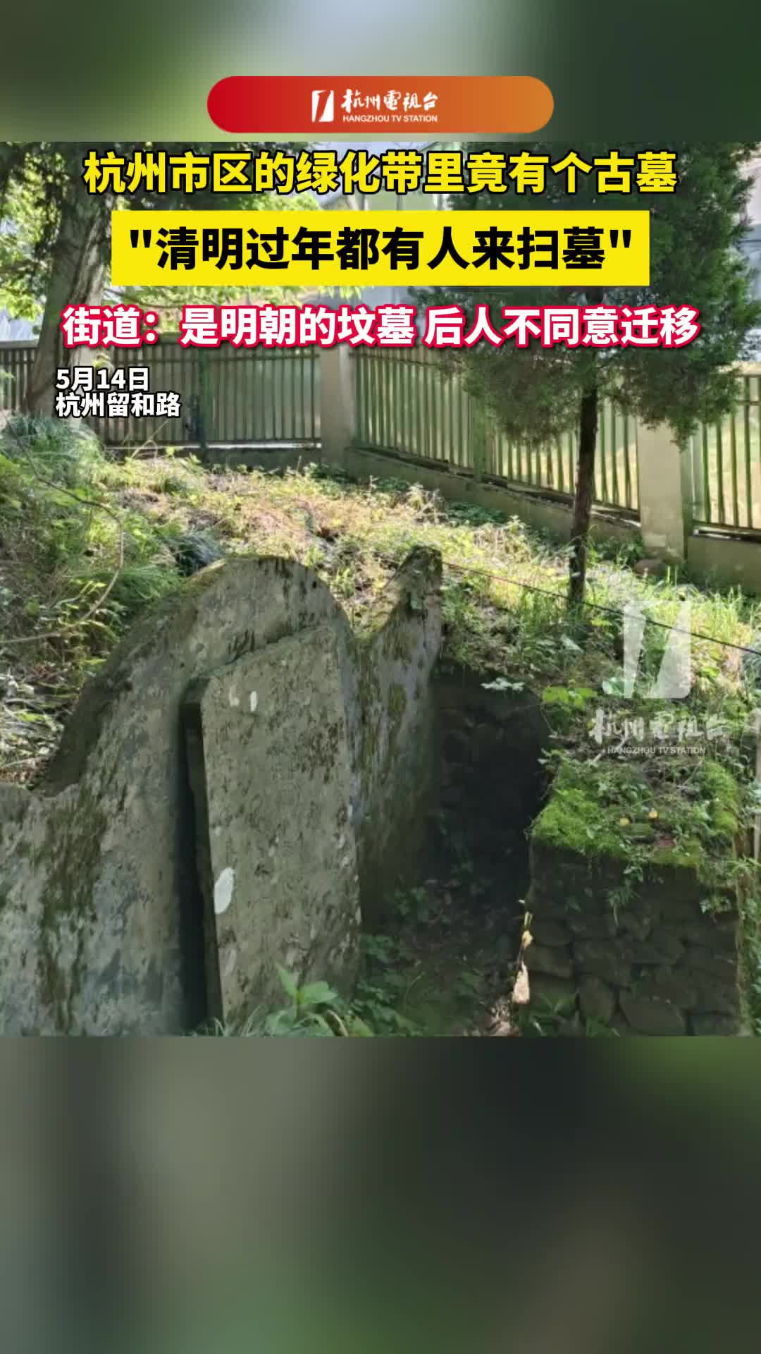 市区的绿化带里竟有个墓 ！