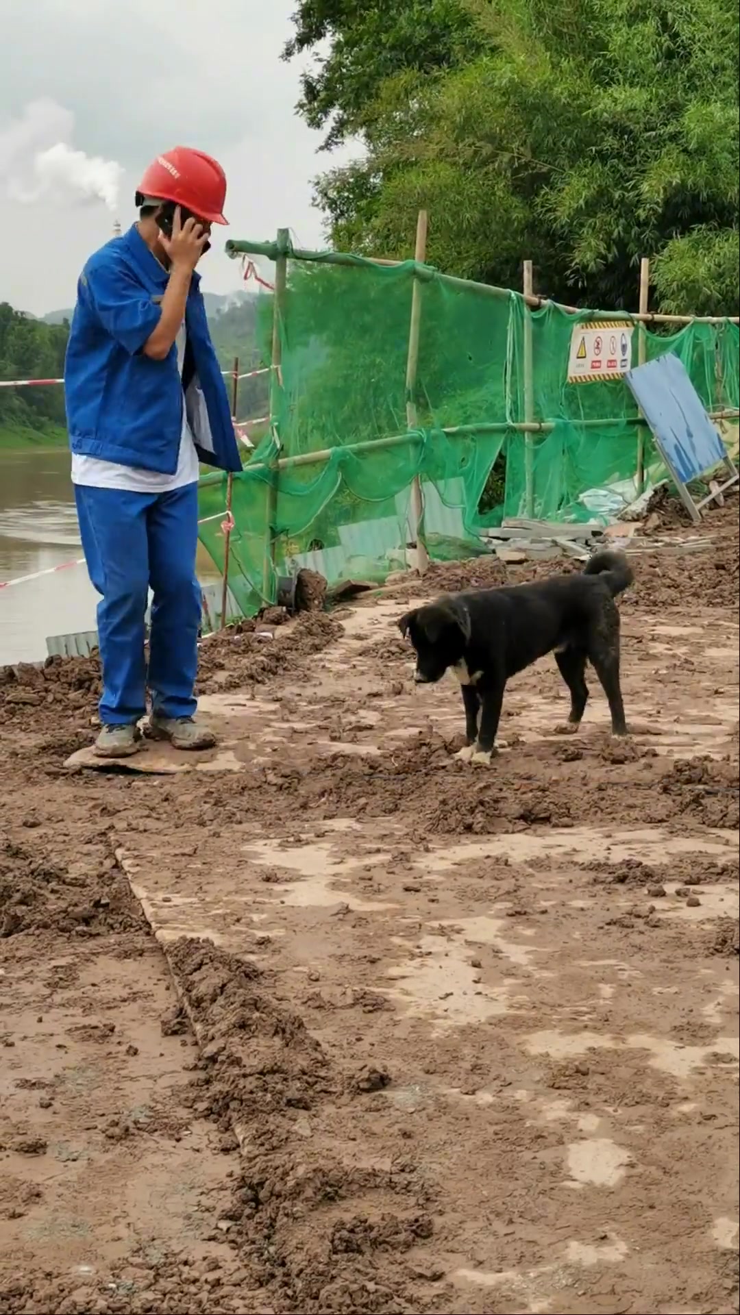 精神小狗 打歌 黑西装白村衣的小黑