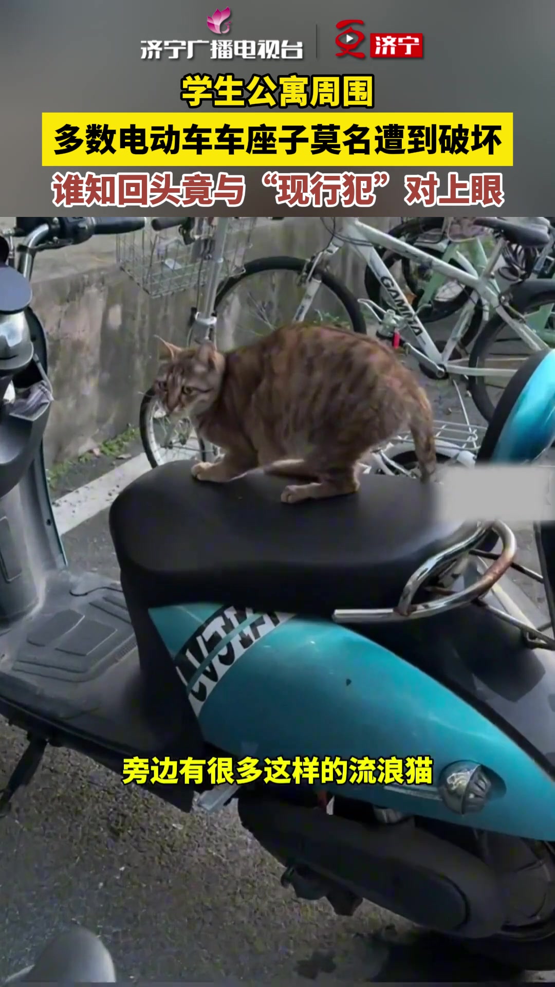 逮捕现行犯竟然一脸不屑？