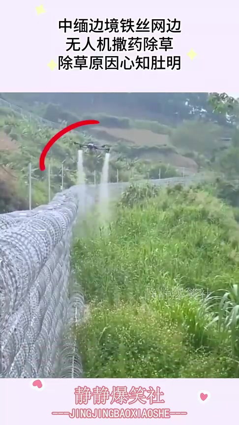 吧友们知道是为什么用无人机喷除草药吗？