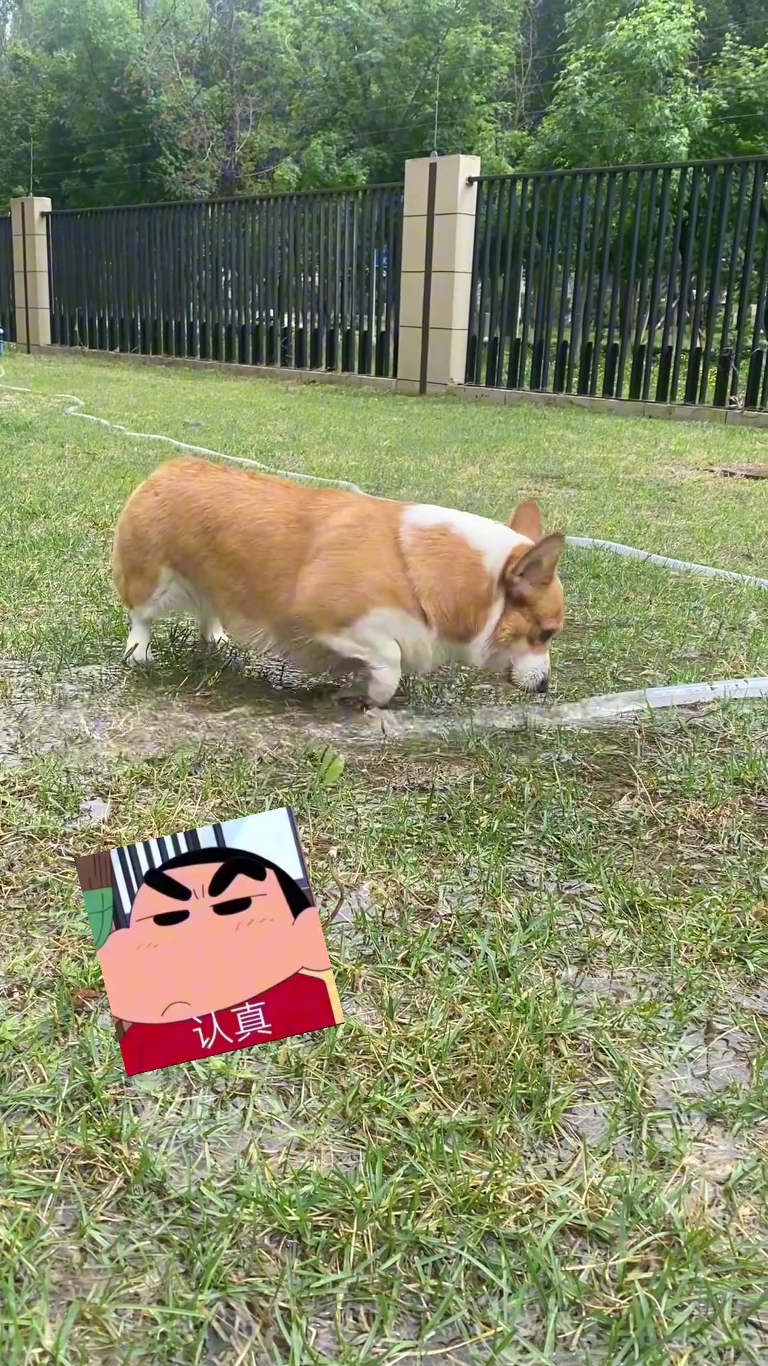 农田水利工程师