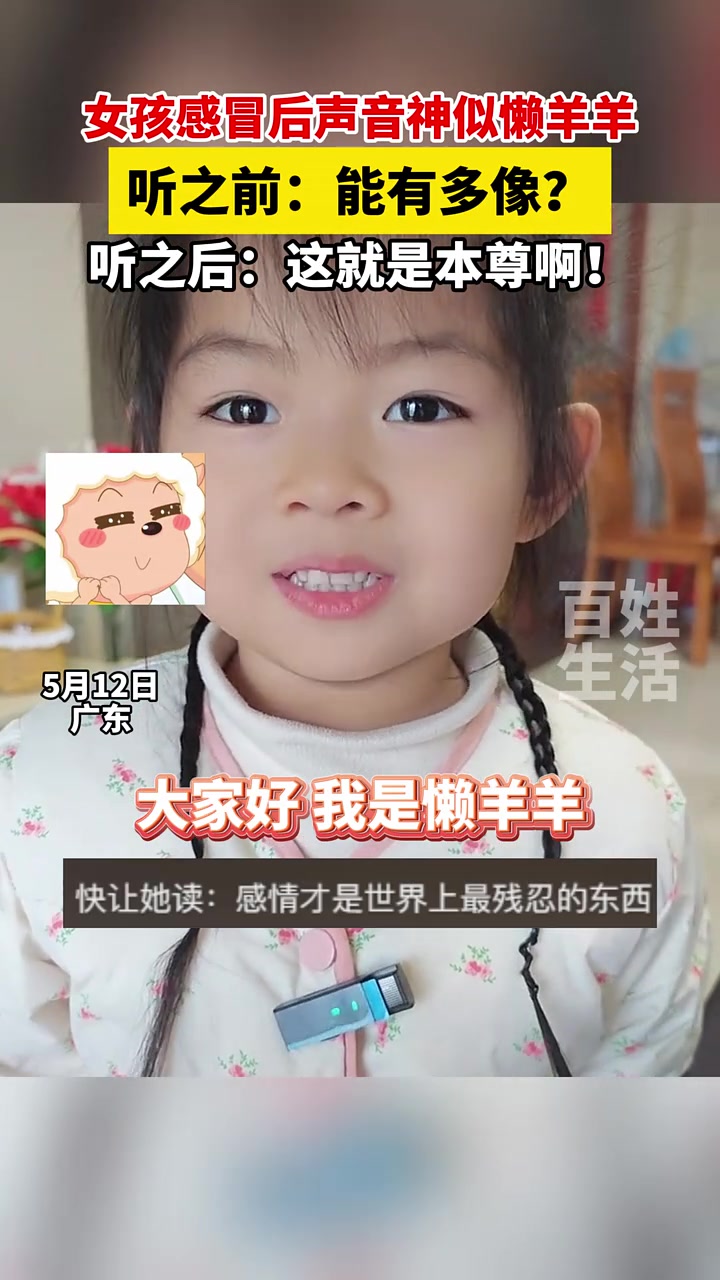 天生懒洋洋圣体！
