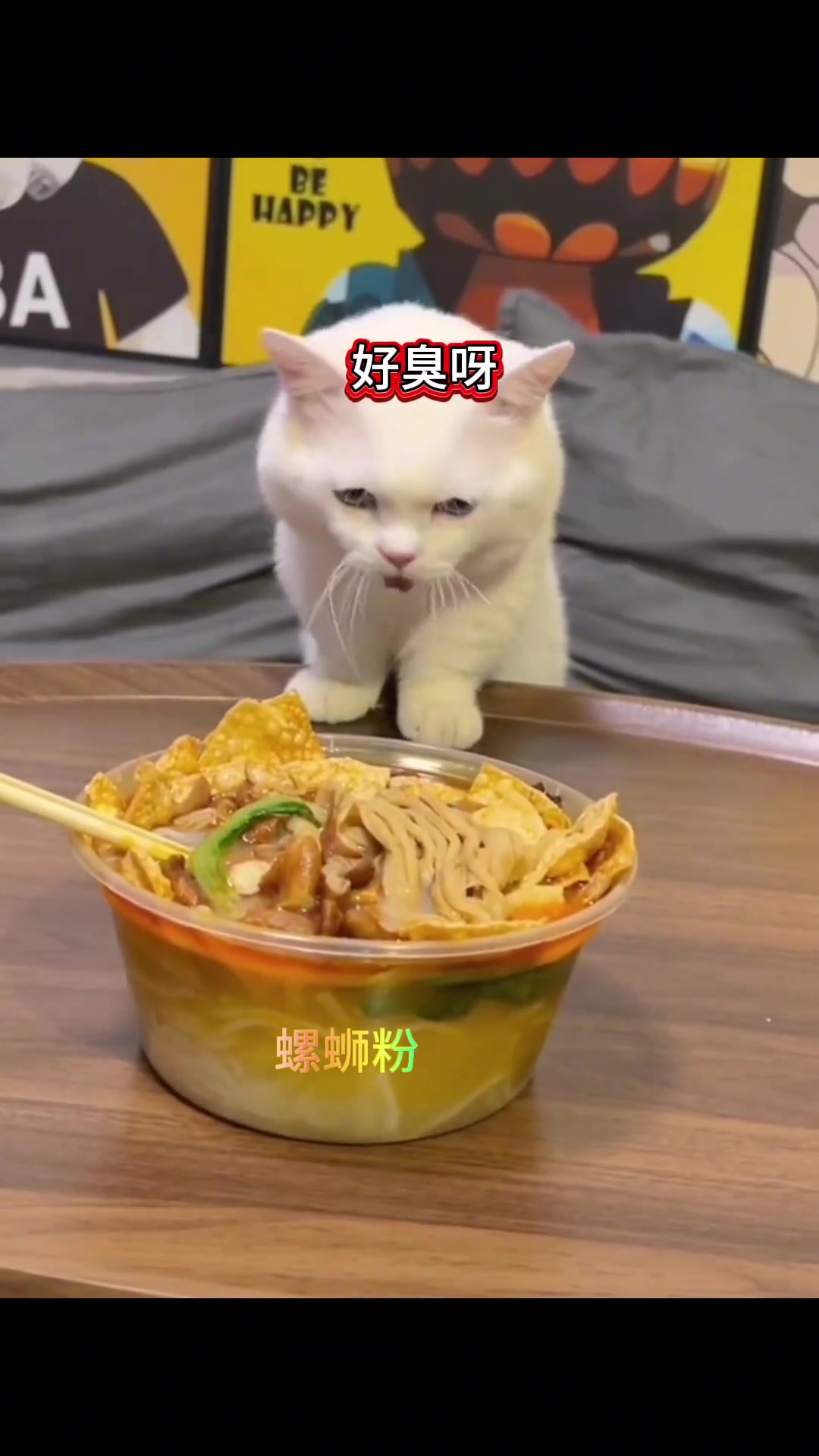 要了猫命 下次让狗狗试试