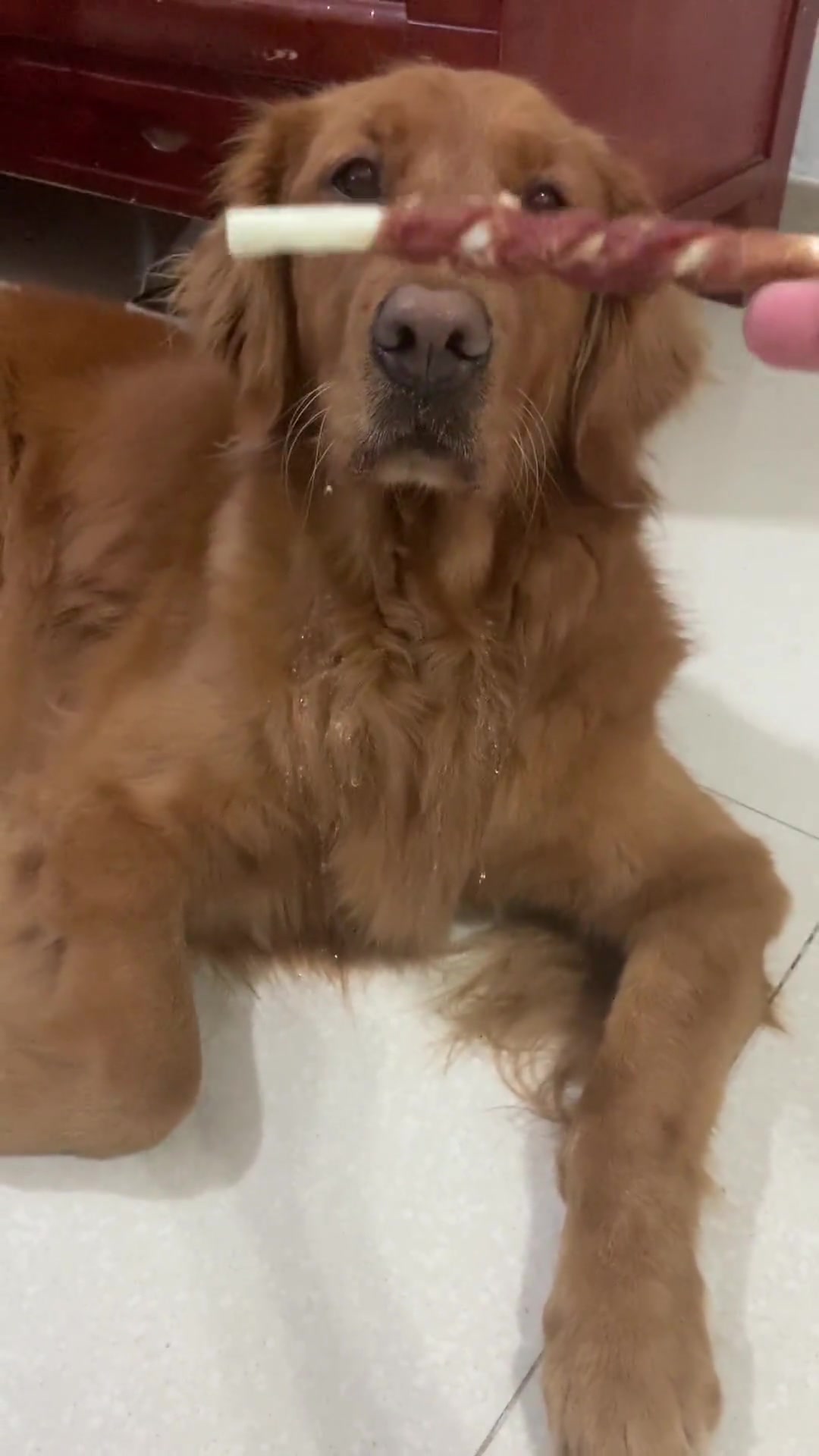 成口水瀑布了