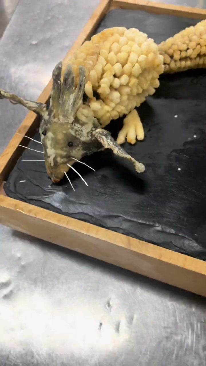 真松鼠鱼