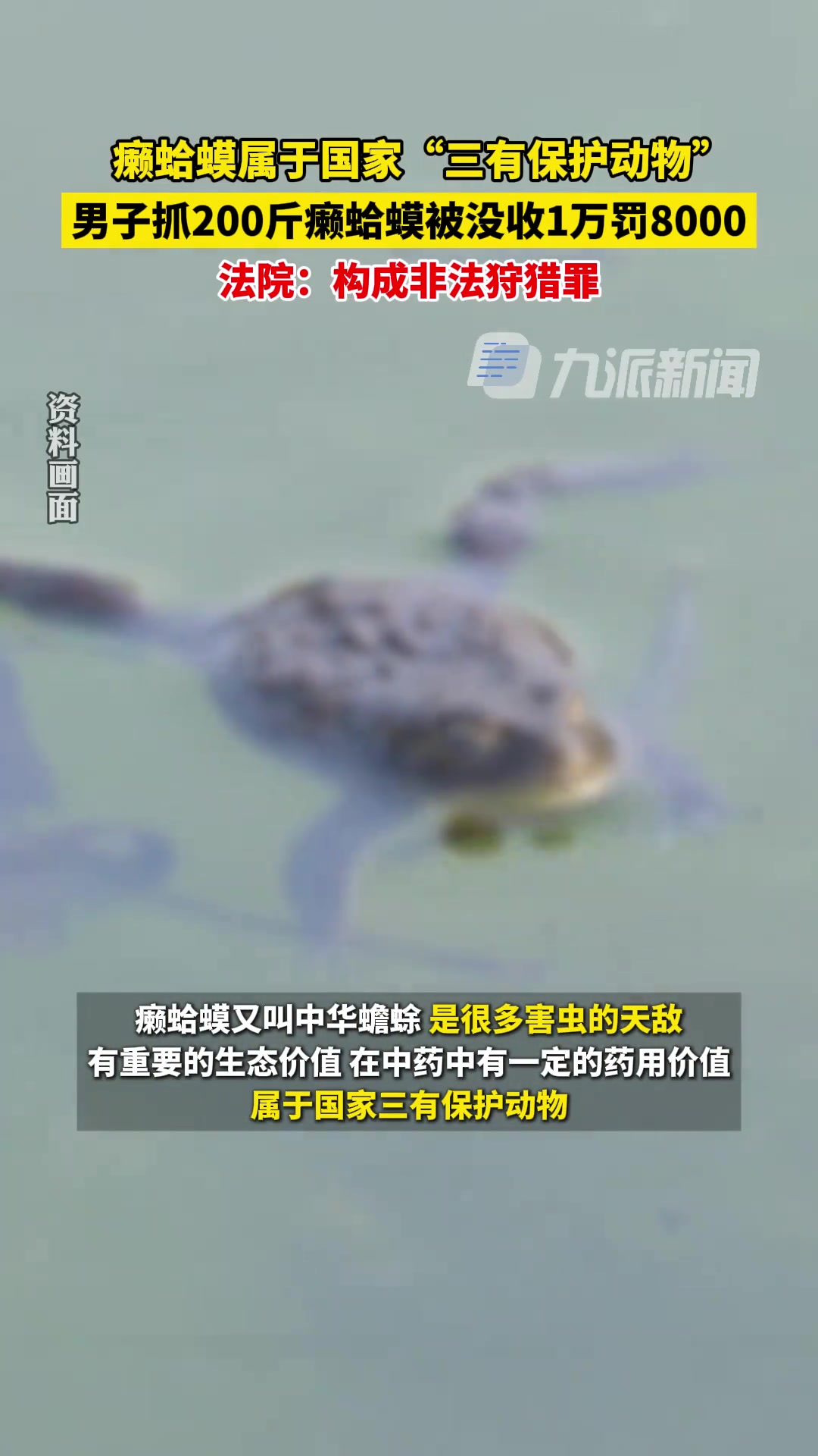 男子因抓200斤癞蛤蟆被没收1万罚8千，构成非法狩猎罪