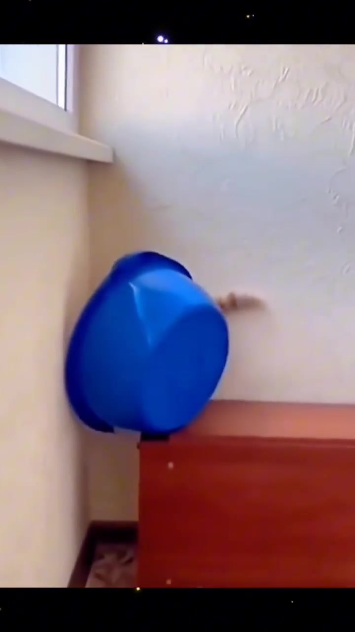 自我封印了