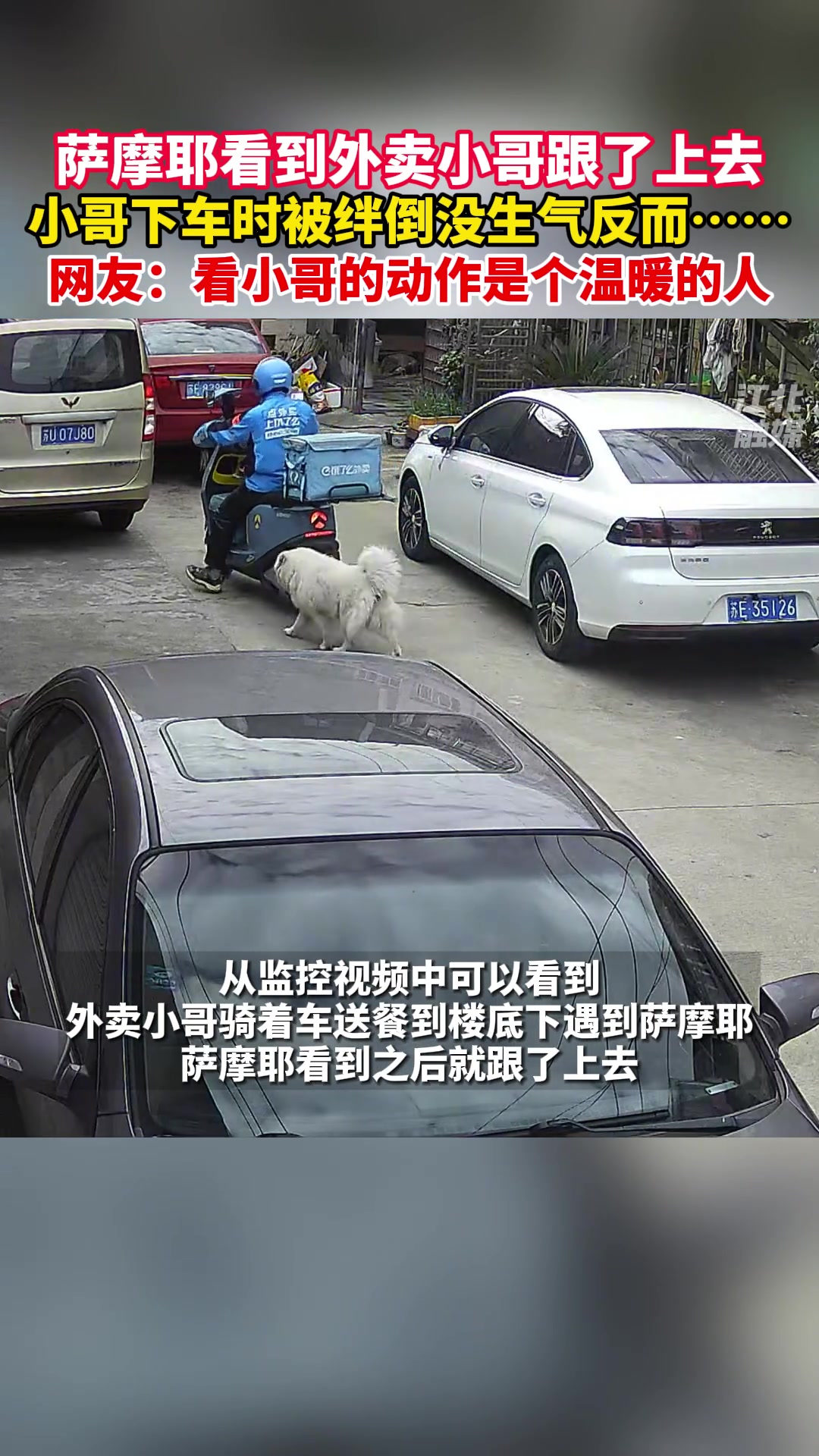 狗子跟车，小哥摔倒后的动作看出小哥是个很温柔的人！