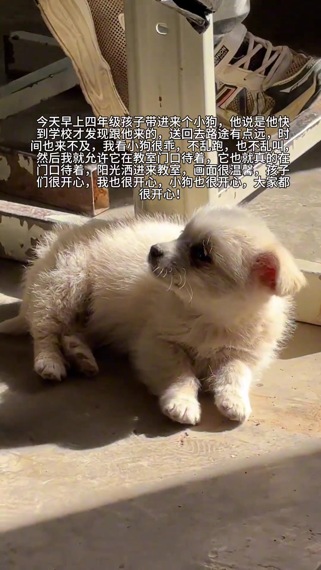 多年后我们应该都还会记得这个有爱而且惬意的早晨！