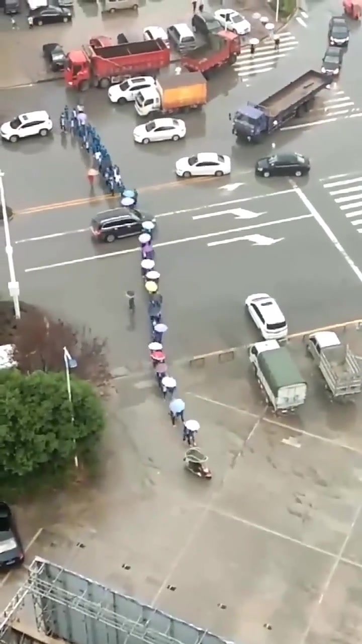 斑马线就在前面，为啥不走斑马线呢