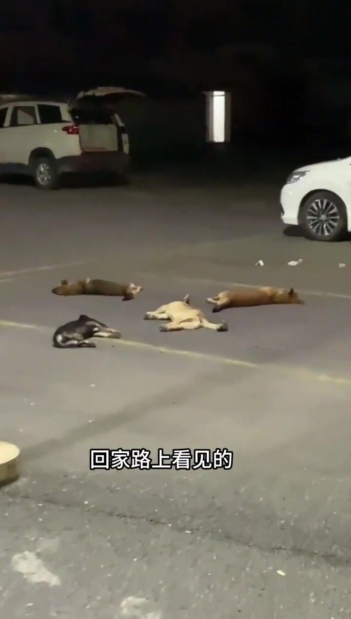 狗子：啊？就你到处说我们没了？