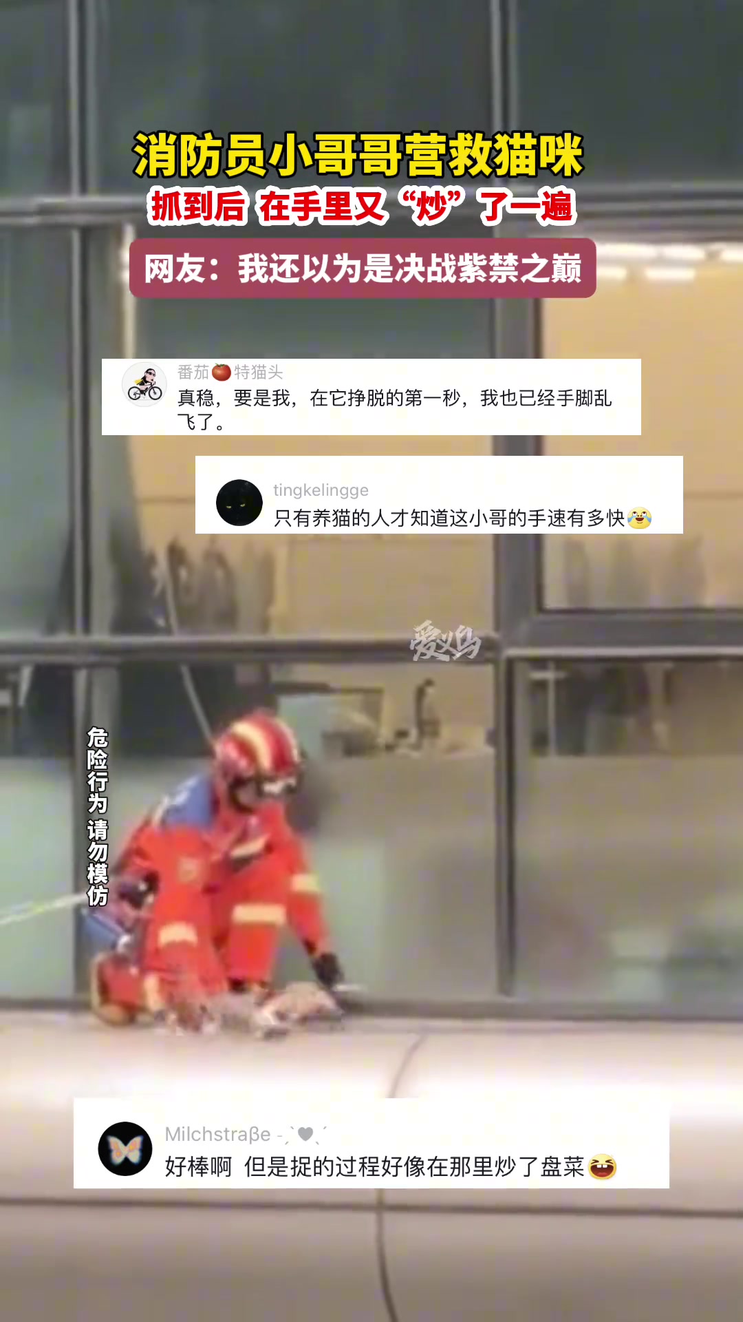 消防员小哥哥营救小猫咪，抓到后在手里又“炒”了一遍
