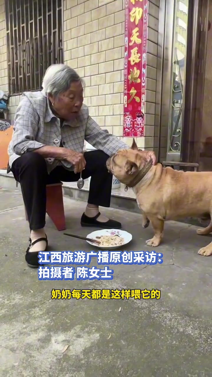 奶奶每天给狗狗喂饭，狗狗：吃不下了，真吃不下了