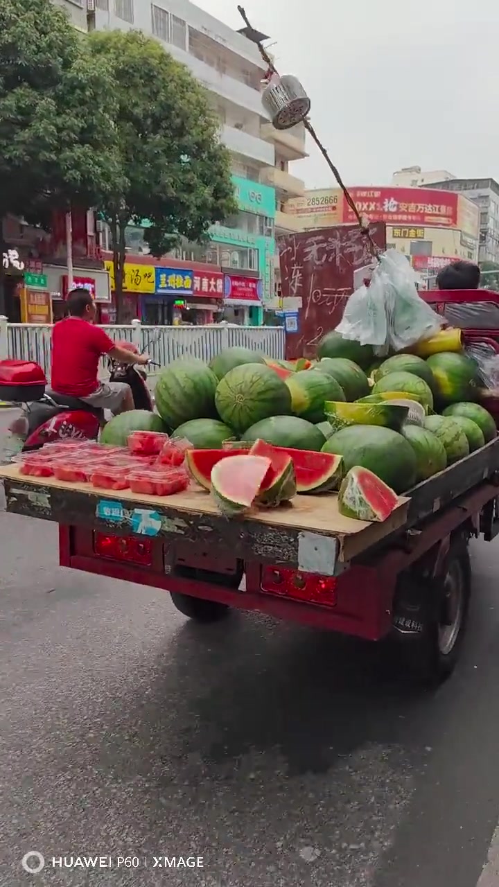 跟了一路，就为了这口西瓜吧