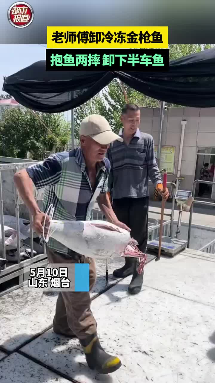 老师傅抱鱼两摔 ，卸下半车鱼！