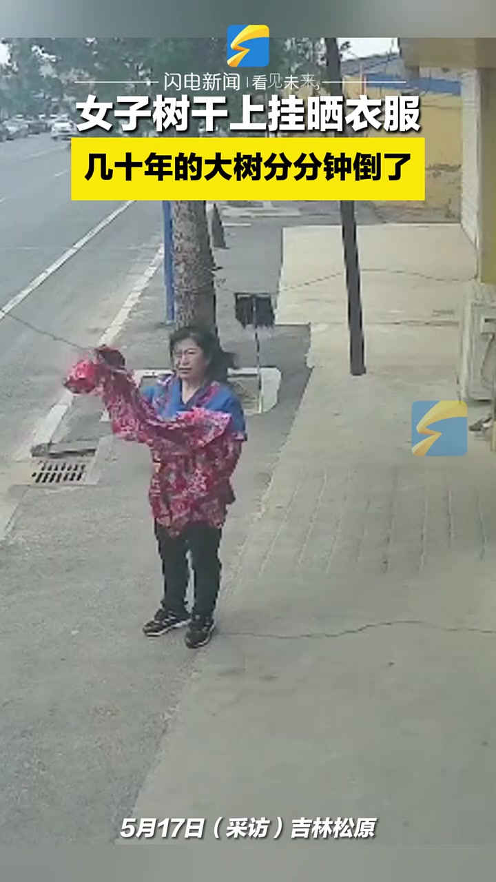 几十年的大树分分钟倒了？
