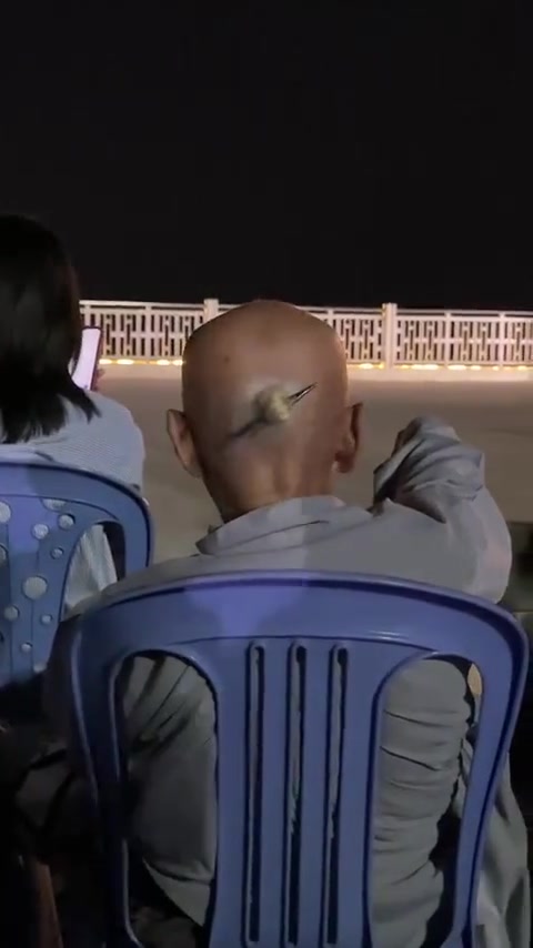 第一眼还以为是插瘤子里