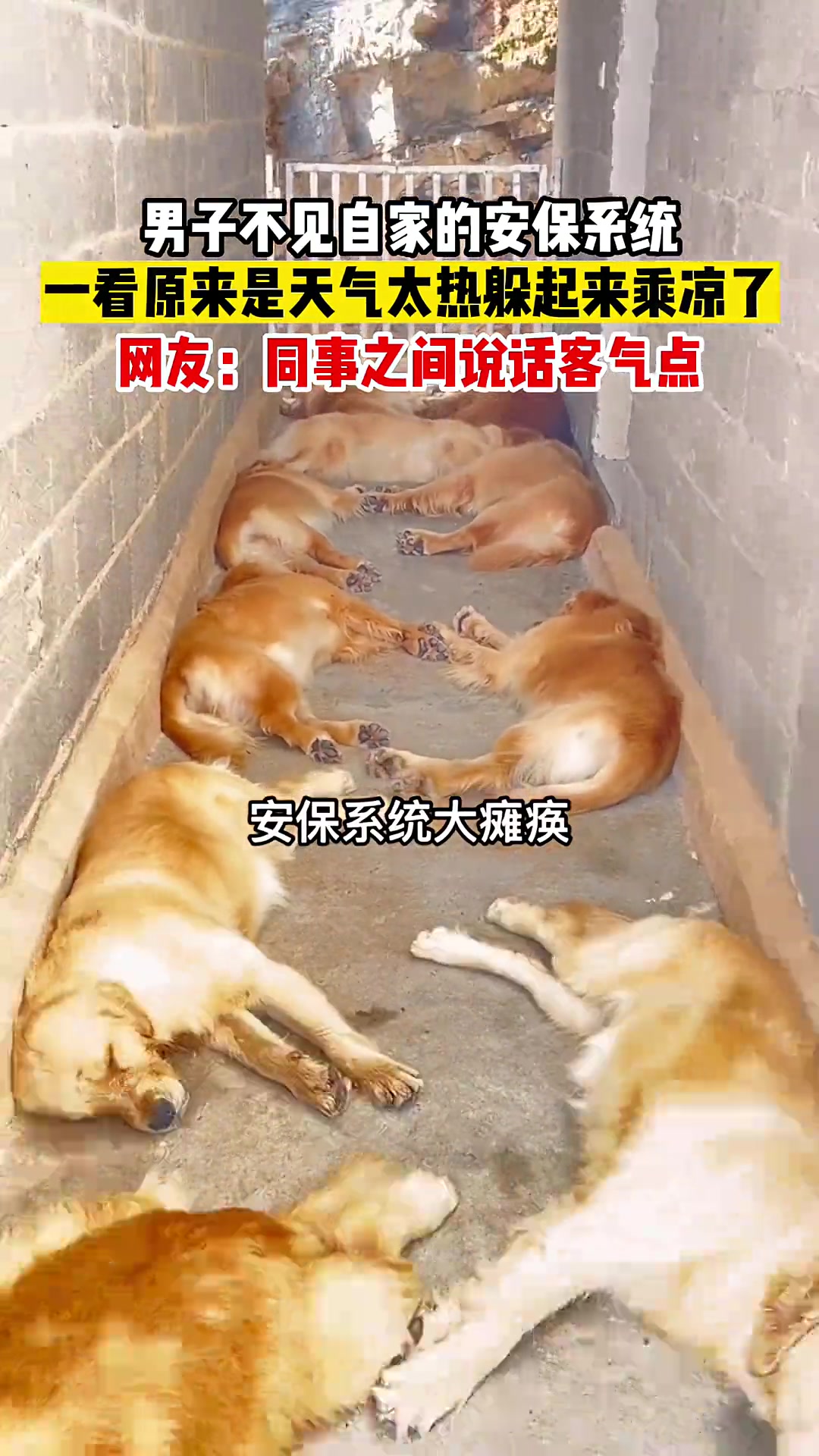 保安系统全部瘫痪！