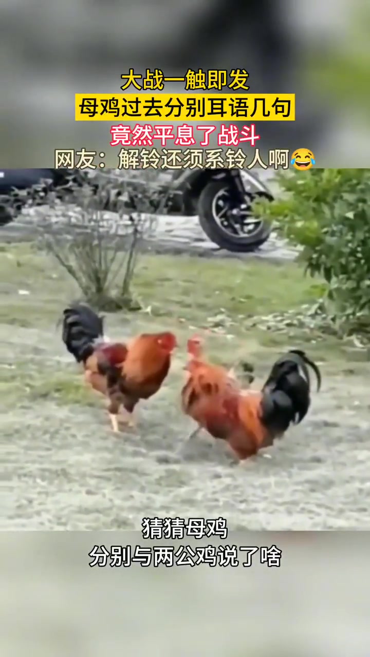 果然，你出面就是不一样哈