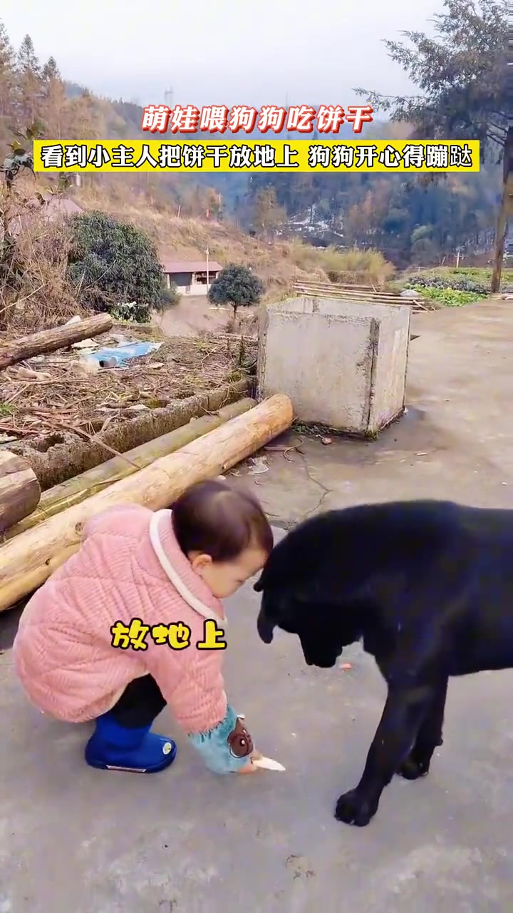 狗:地上的都是我的