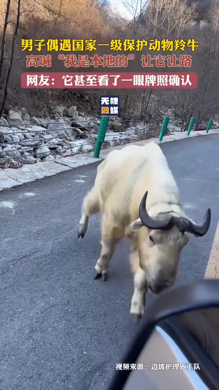 瞅你这车牌也不本地的啊！快给我让路！