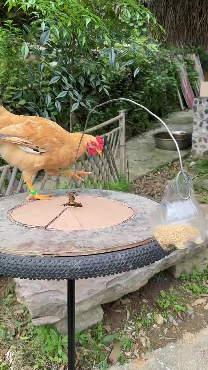 像不像你的老板给你画的饼？