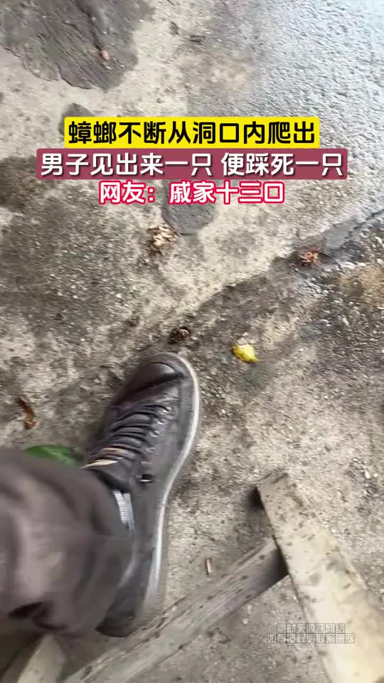 好了，在你回家的时候你的家已经是蟑螂的家了