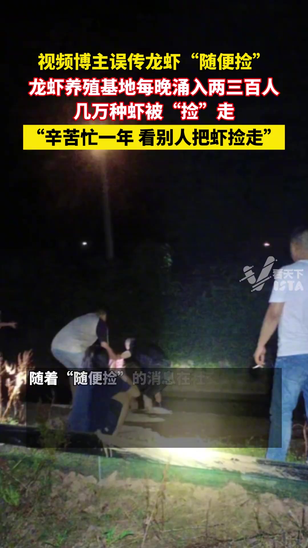 视频博主误传龙虾随便捡，养殖基地每晚涌入两三百人