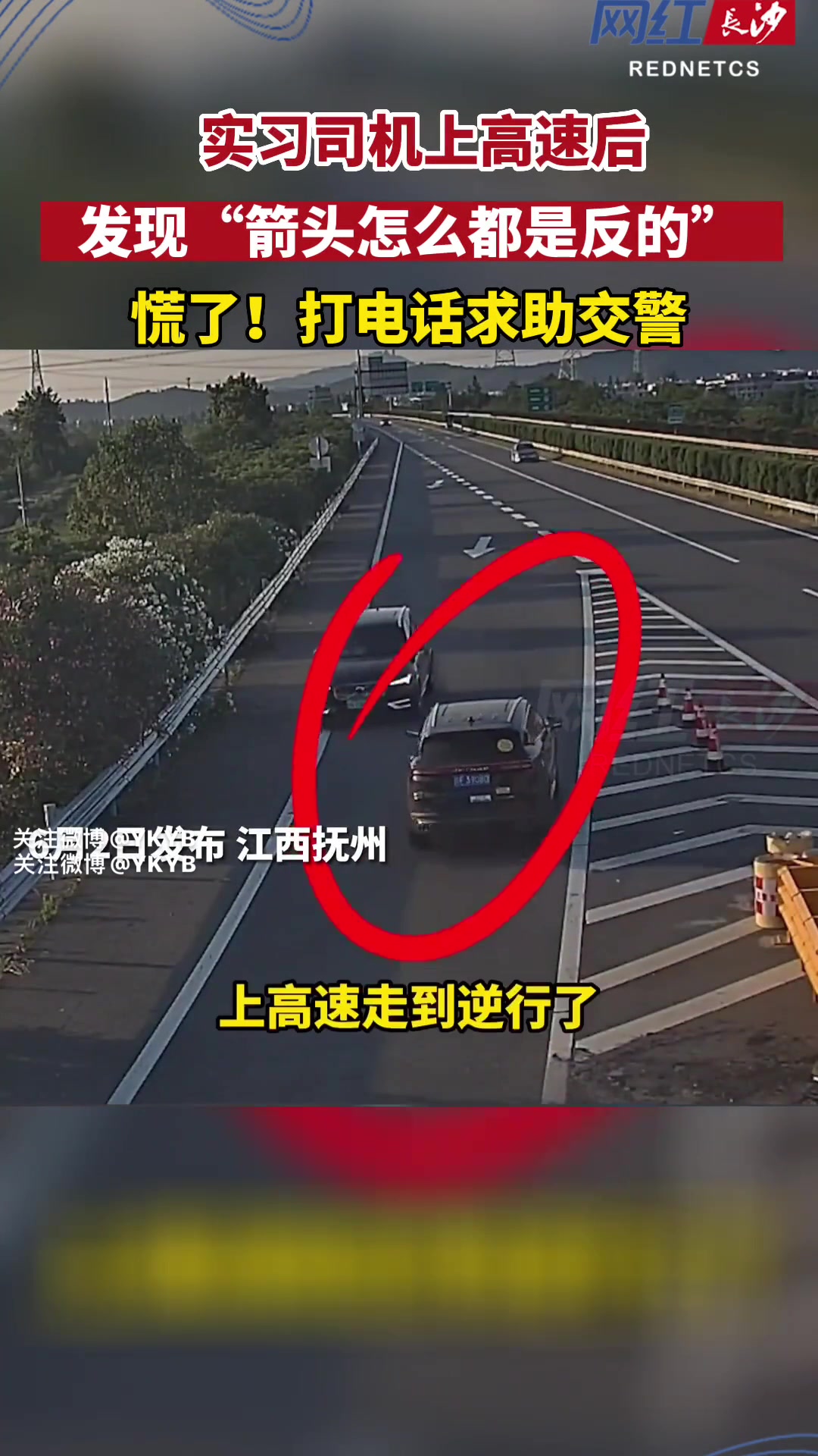 女子上高速走到逆行？！急到打交警求助！吧友怎么看