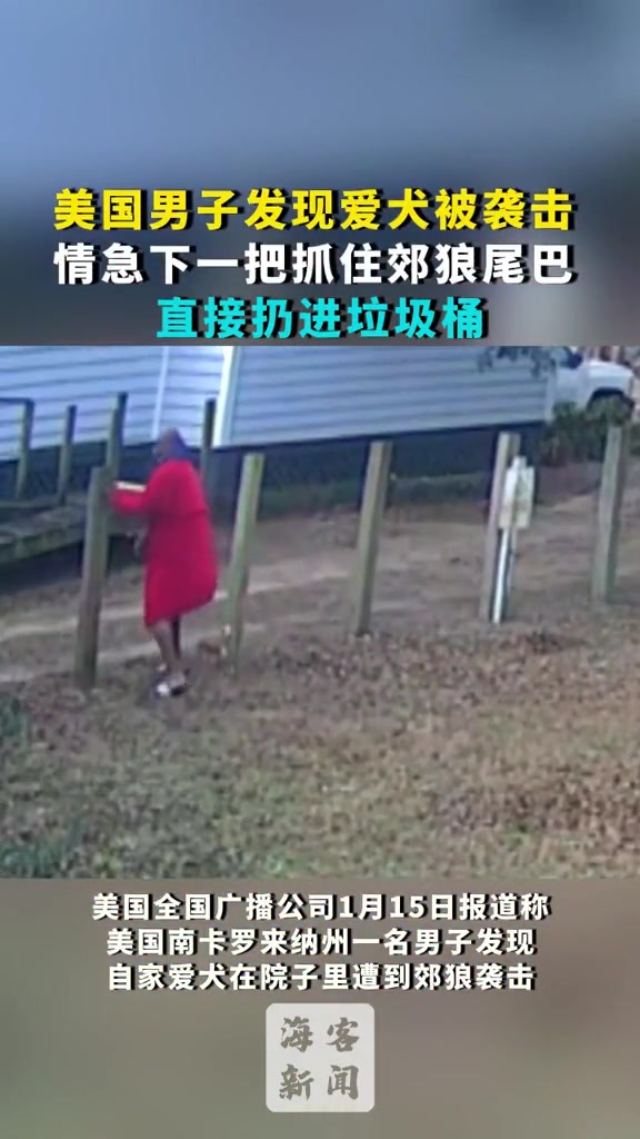主人发现爱犬被袭击，情急之下抓住郊狼尾巴扔进垃圾桶