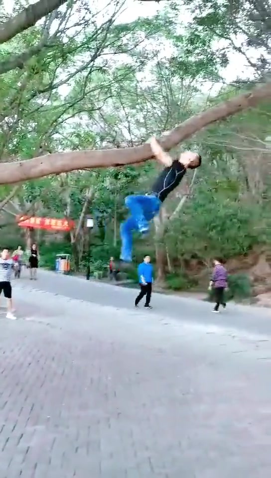 这手臂真有力，爬上树还能单手吊住