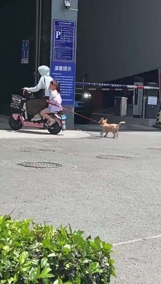 这家长也是心宽