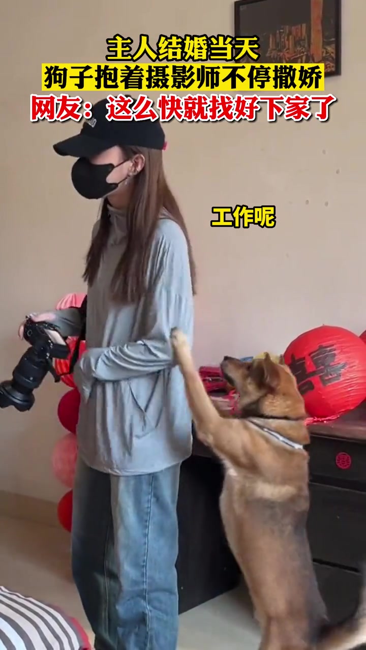 谁转世了？狗子抱着摄影师不停撒娇
