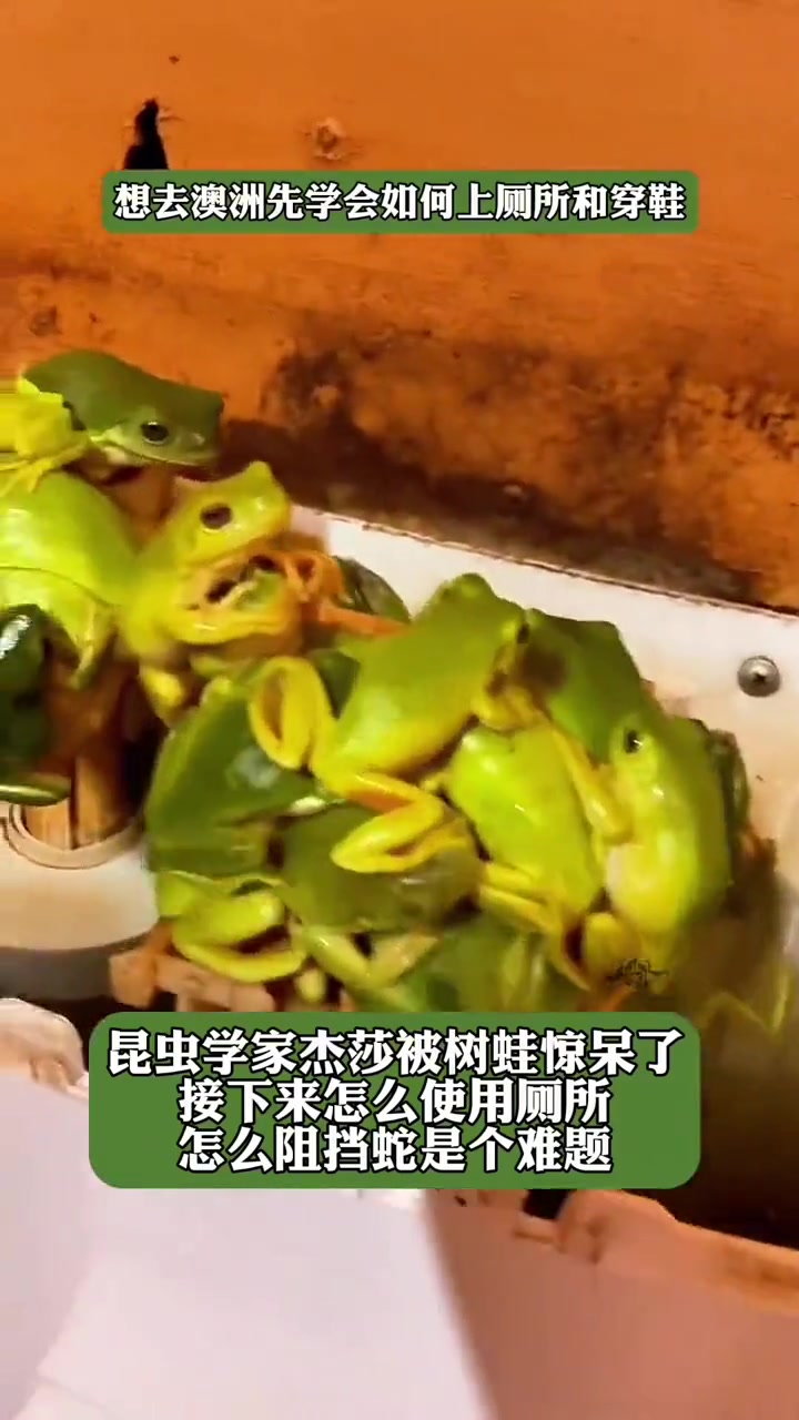 听取蛙声一片！